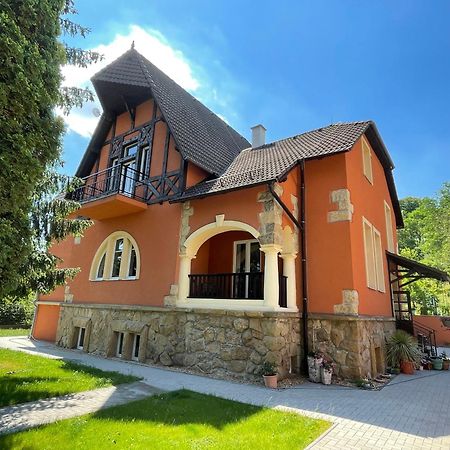 Penzion Villa Amelie Mladá Boleslav المظهر الخارجي الصورة